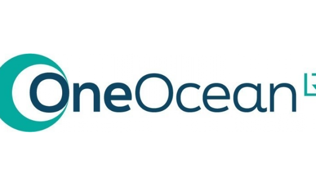 Lloyd’s Register OneOcean launches Risk Manager FuelEU